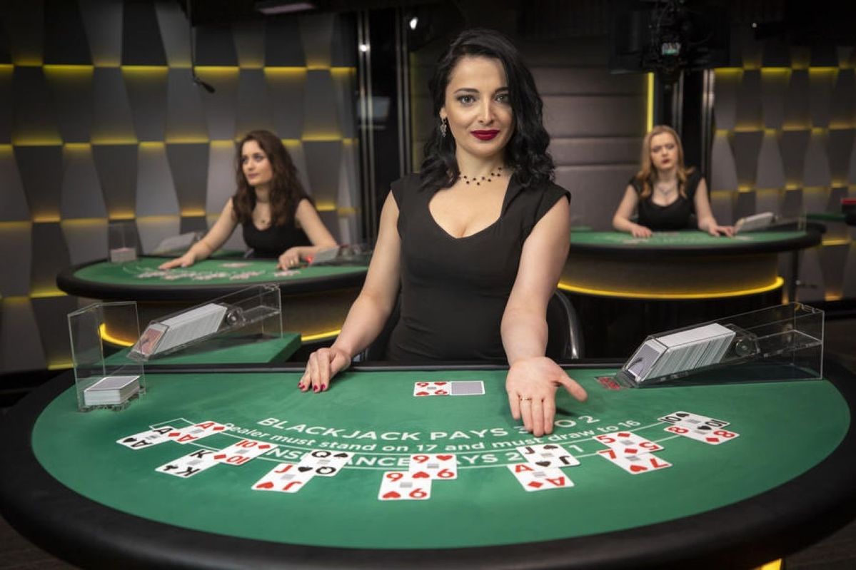 net bet Live Casino